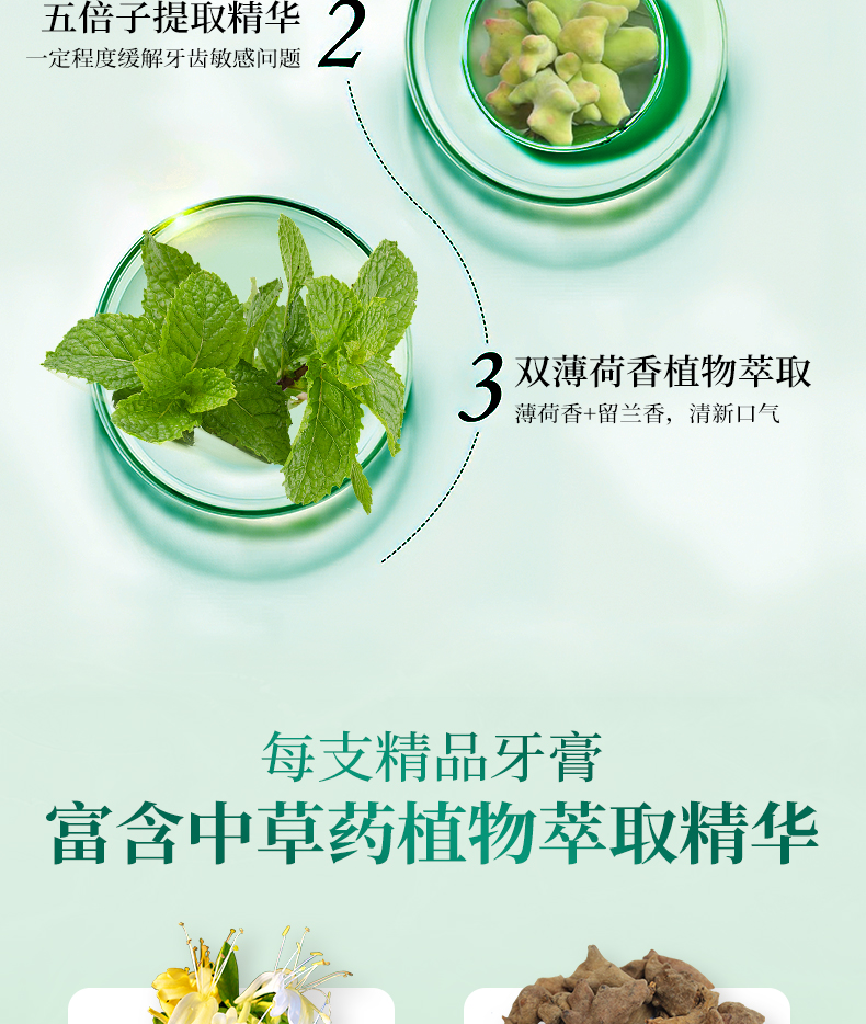 苗风详情_10.jpg